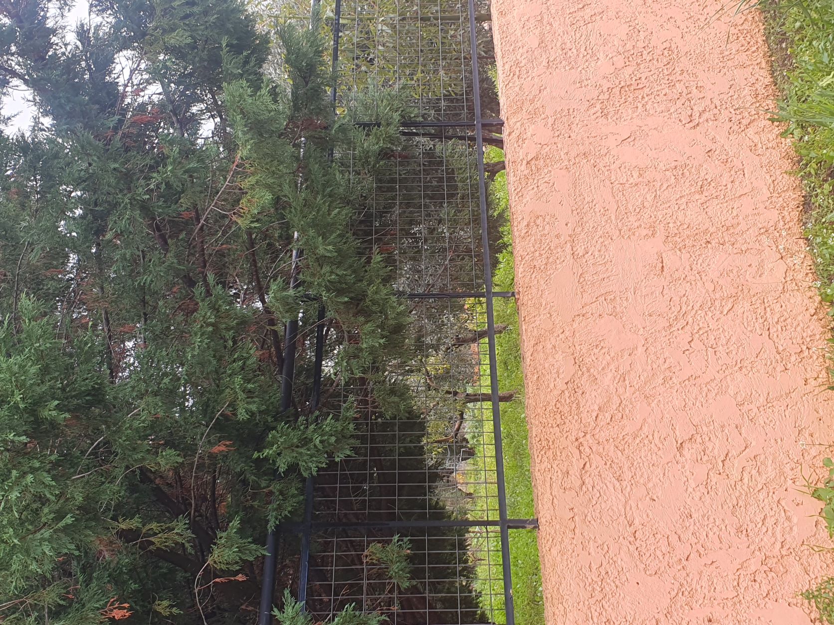 photo0