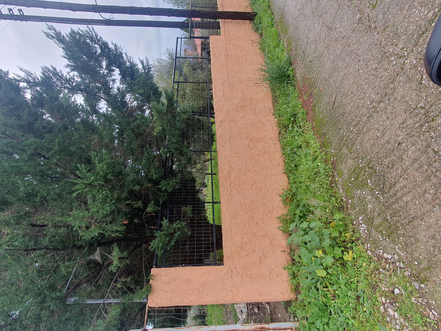 photo1