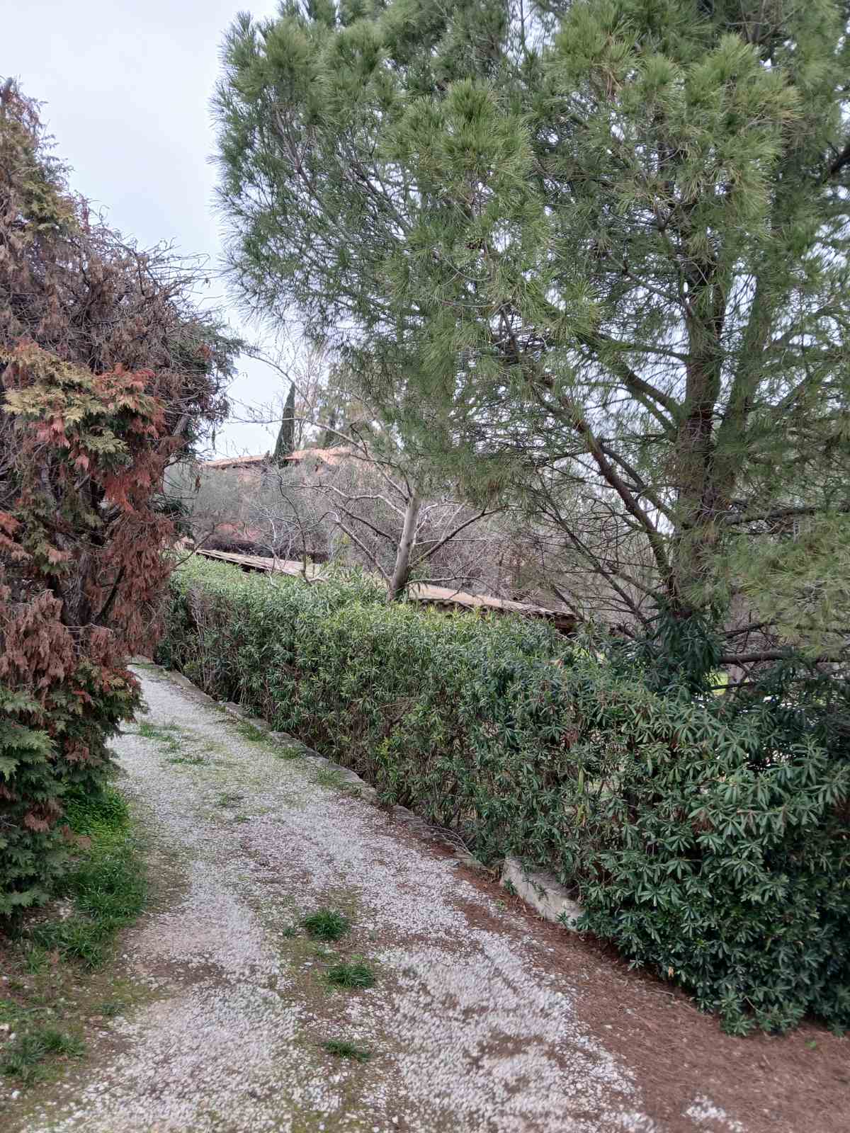 photo3