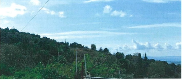 photo0