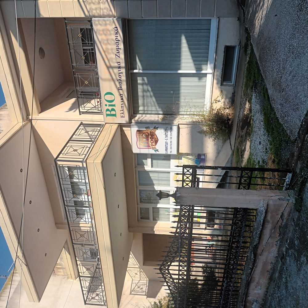 photo2
