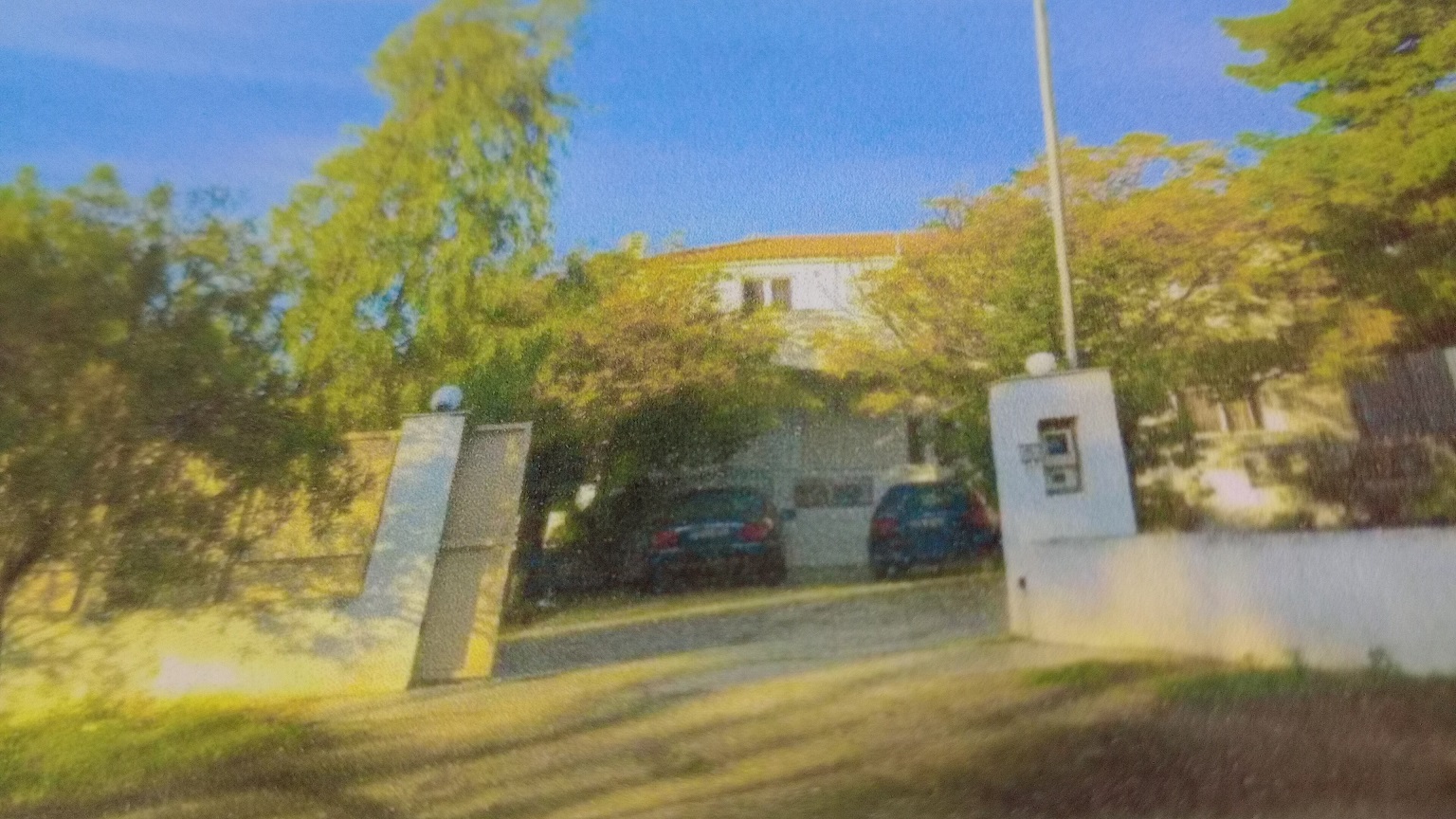 photo1