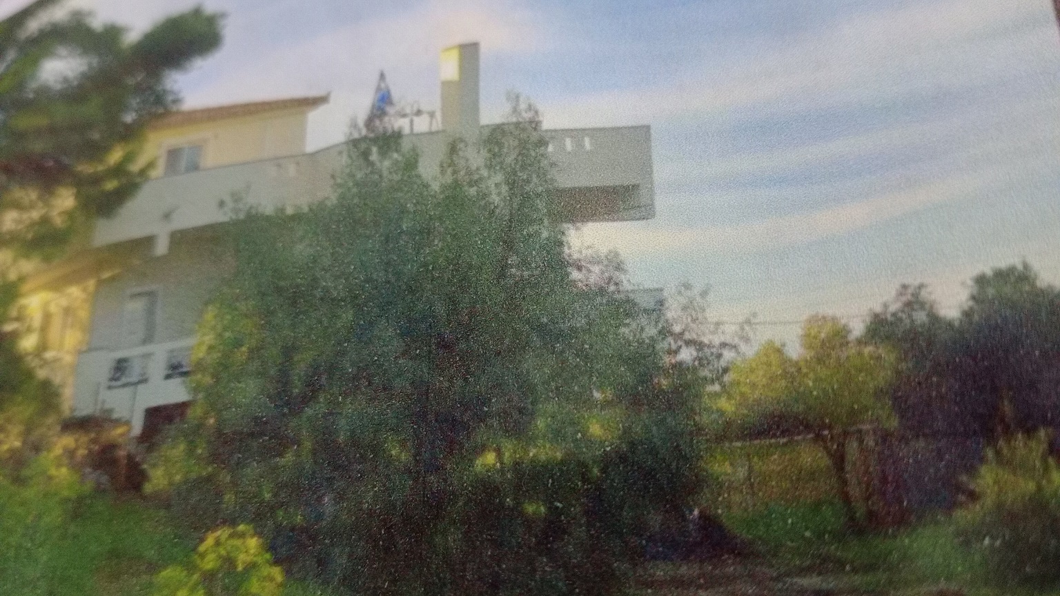 photo3