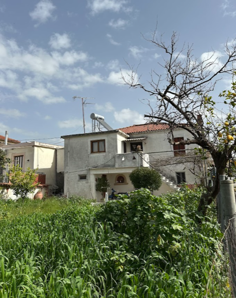 Οικόπεδο με κτίσμα  σε πλειστηριασμό Δήμος Πύλου - Νέστορος