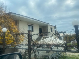 photo0
