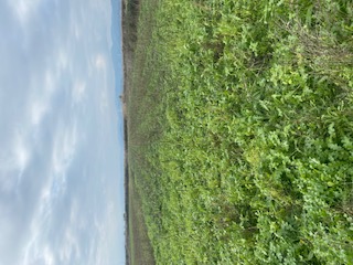 photo1