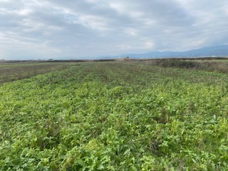photo2