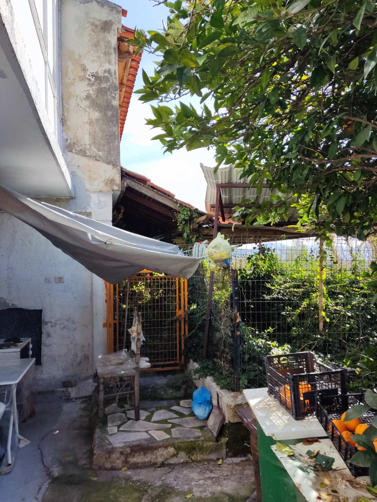 Οικόπεδο με κτίσμα  σε πλειστηριασμό Δήμος Κύμης - Αλιβερίου