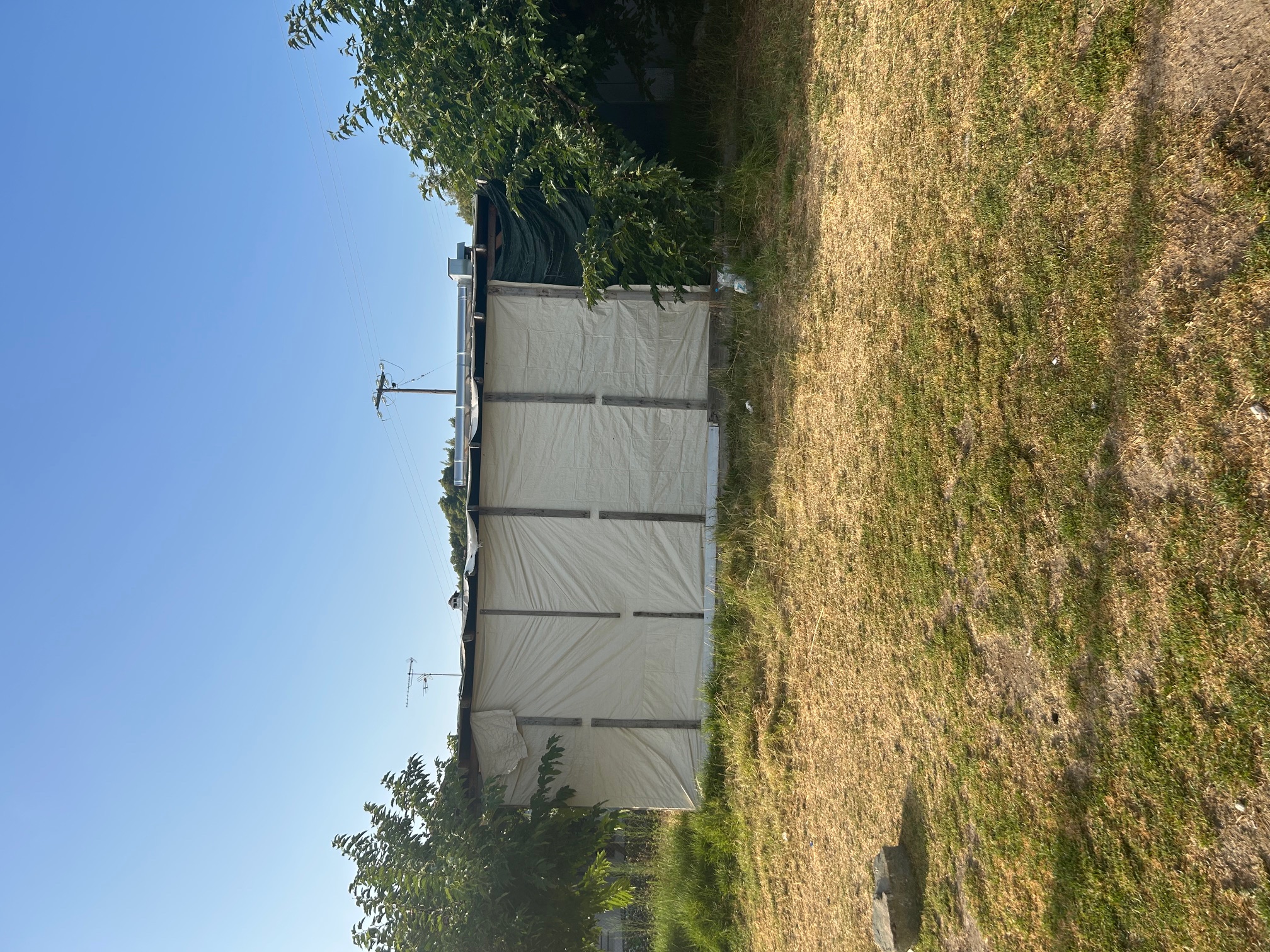 photo1