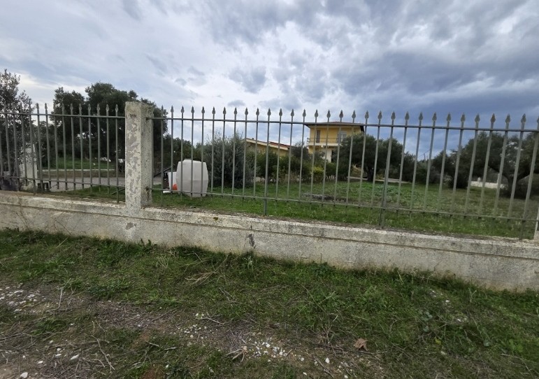 photo0