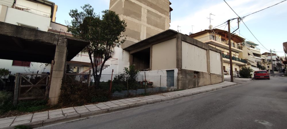 photo1