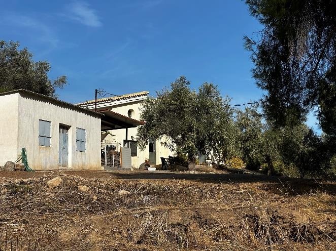 Οικόπεδο με κτίσμα  σε πλειστηριασμό Δήμος Ερέτριας