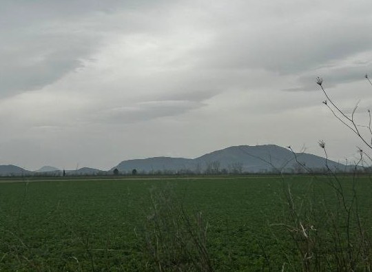 photo3