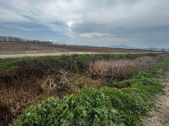 photo2