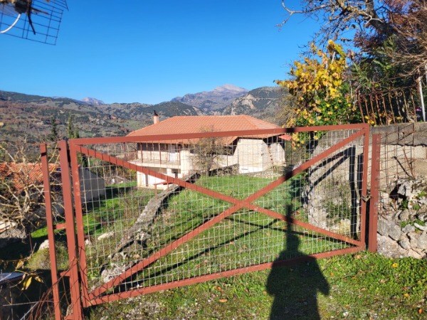 photo1