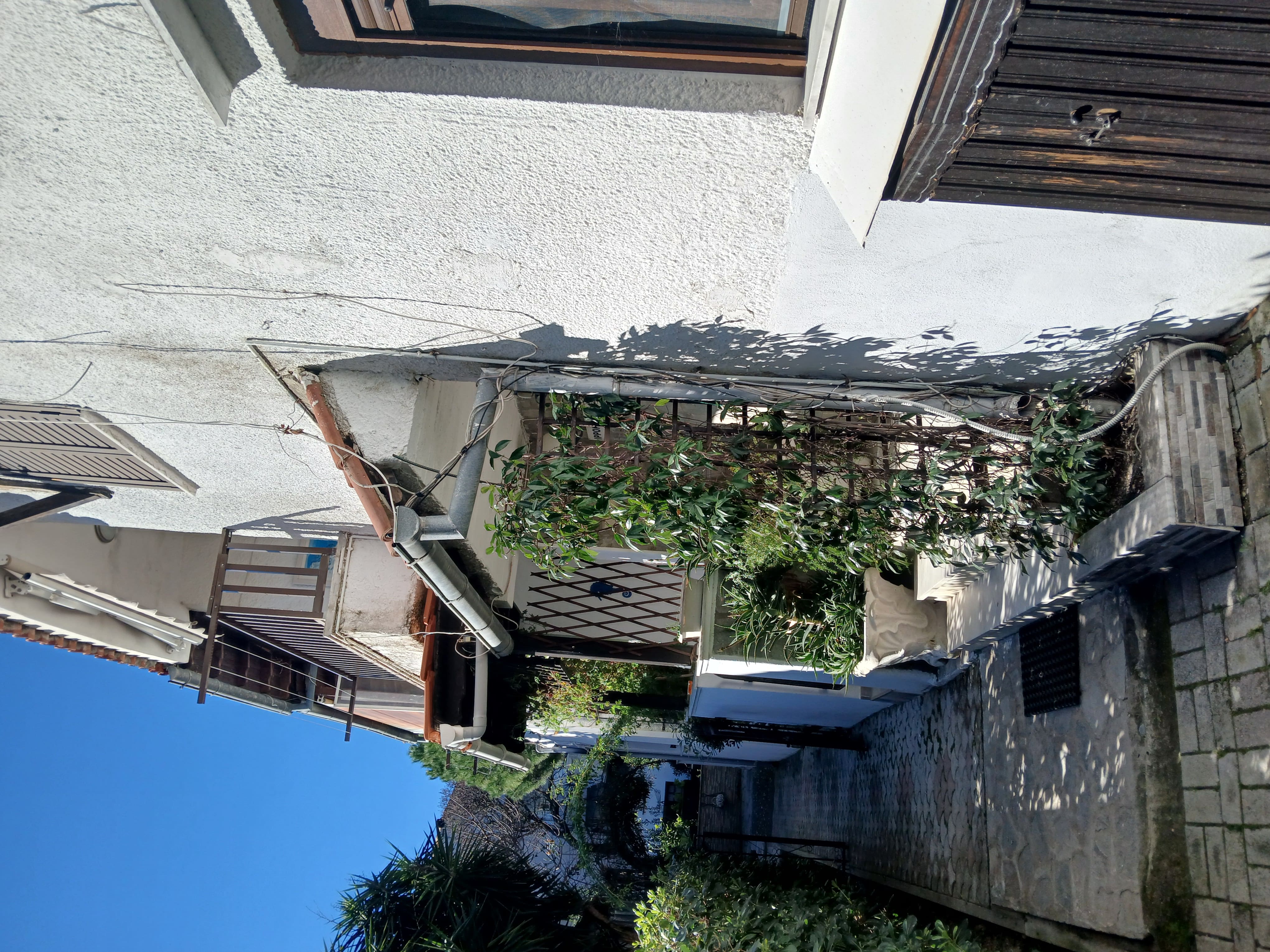 photo2