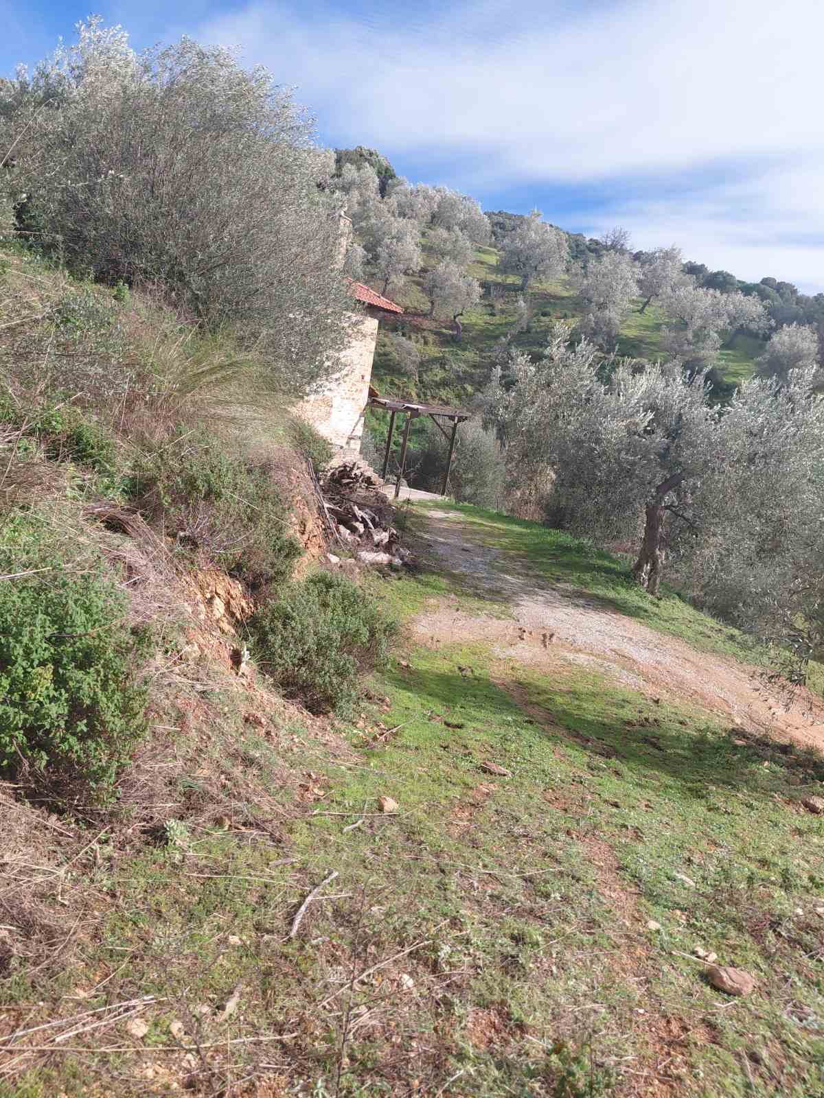 Αγροτεμάχιο με κτίσμα  σε πλειστηριασμό Δήμος Νοτίου Πηλίου