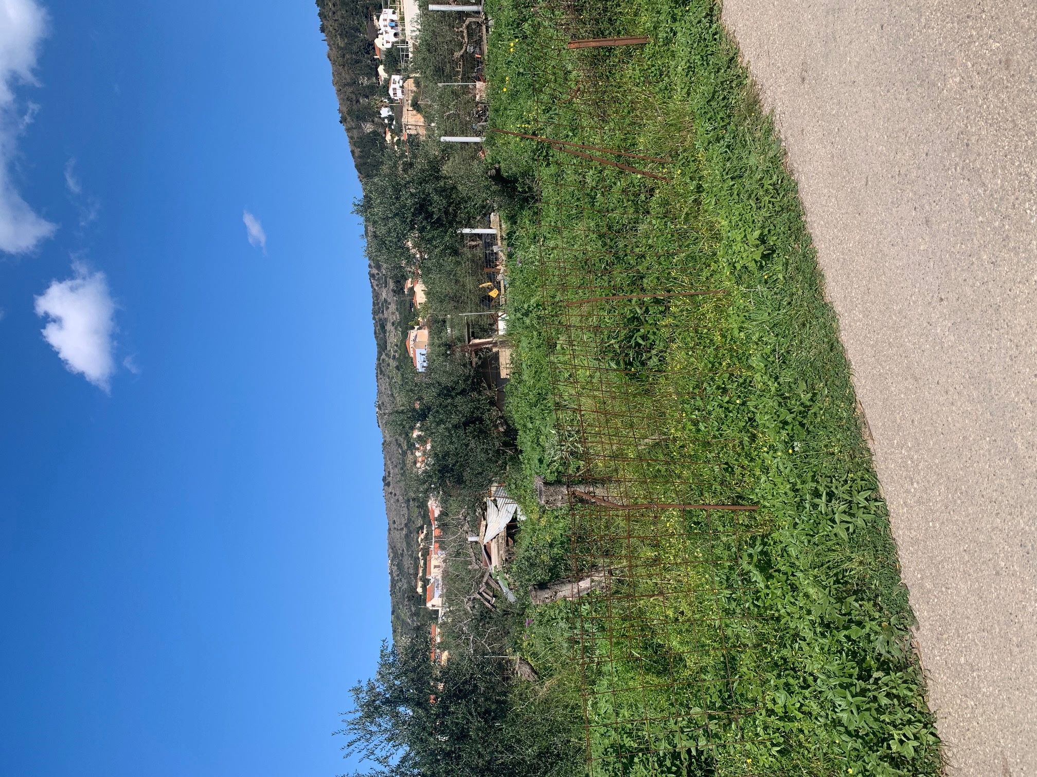 Οικόπεδο 545.36 sq.m. σε πλειστηριασμό Municipality of Apokorono 