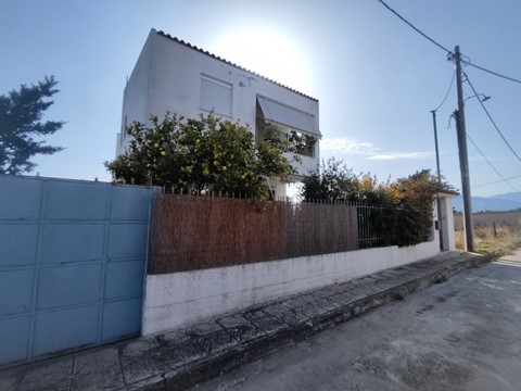 photo1