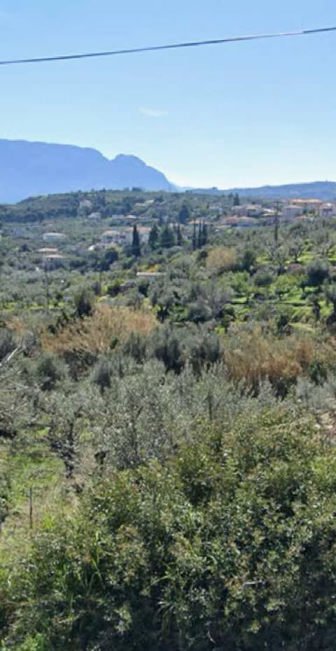 photo1