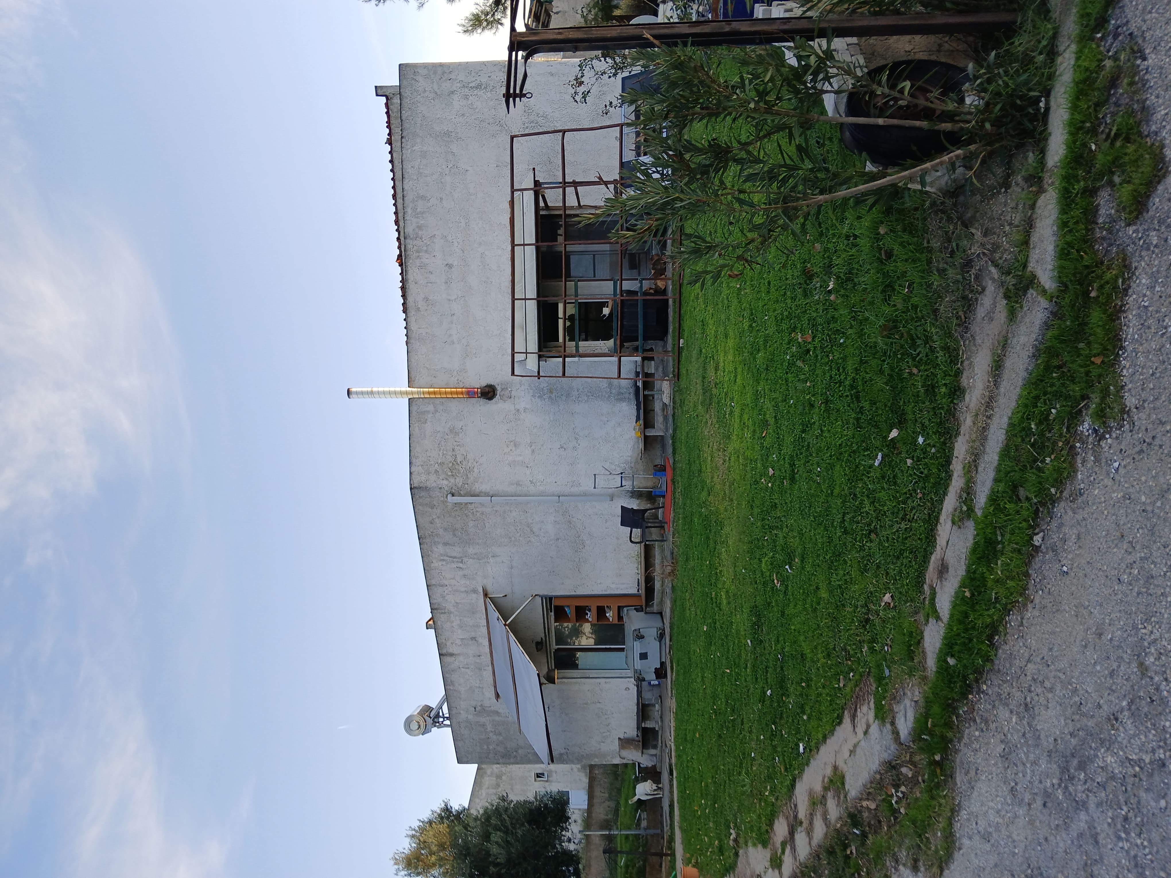 photo2