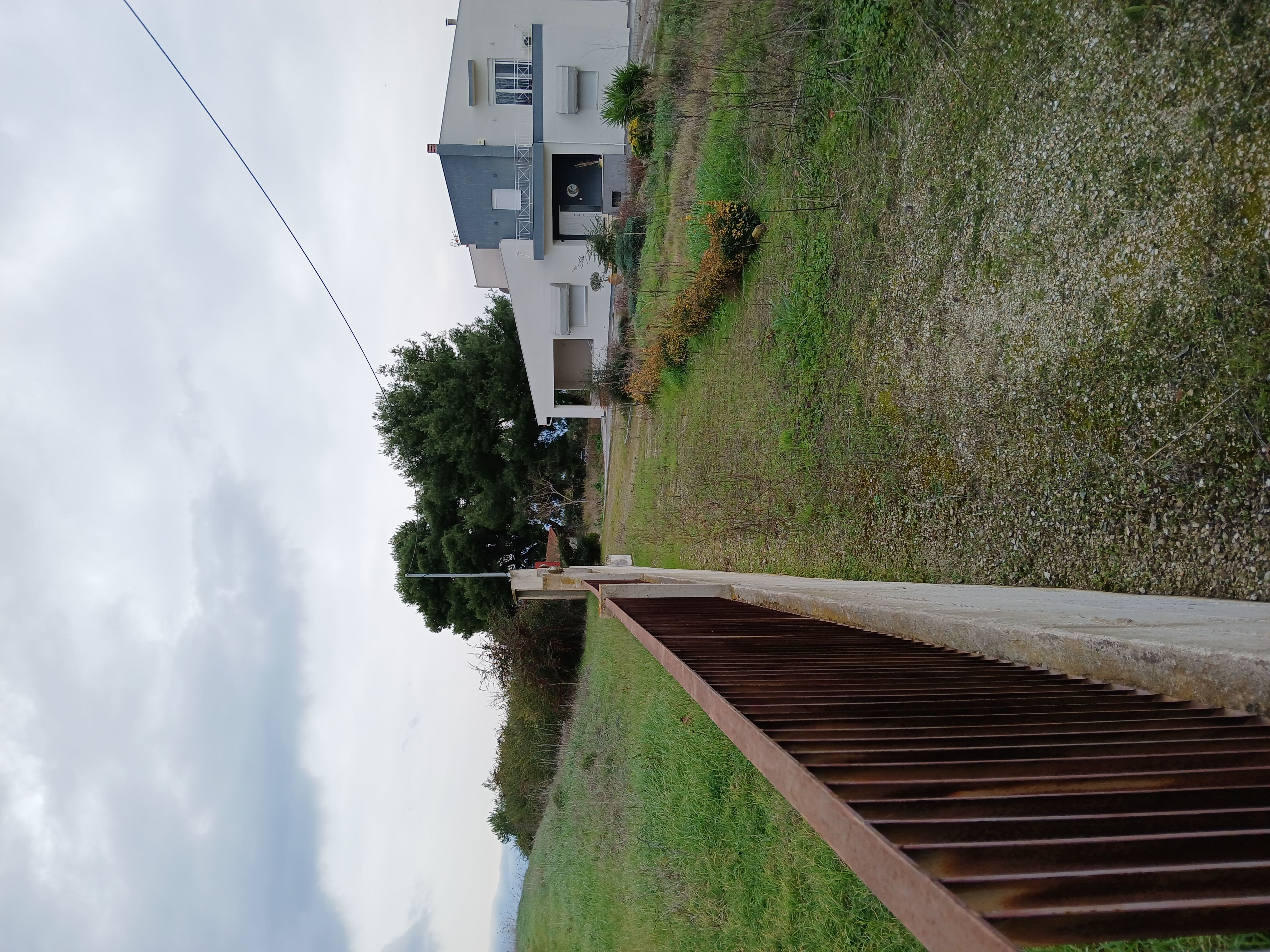 photo1