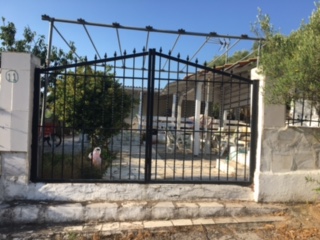 photo1