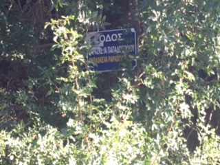 photo10