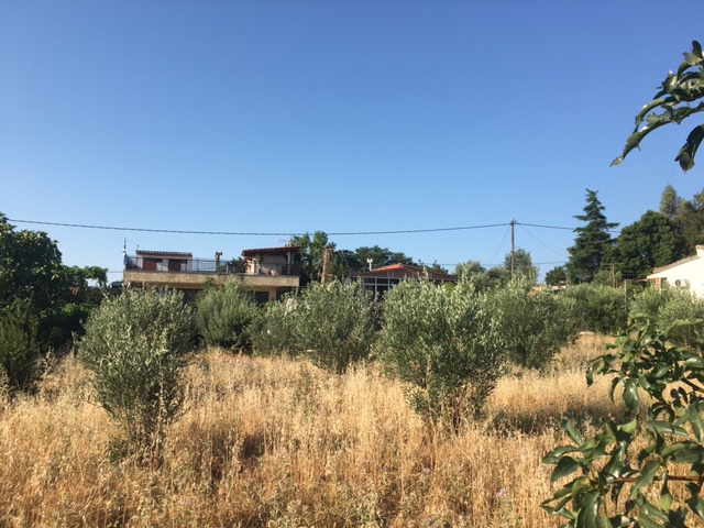 photo14