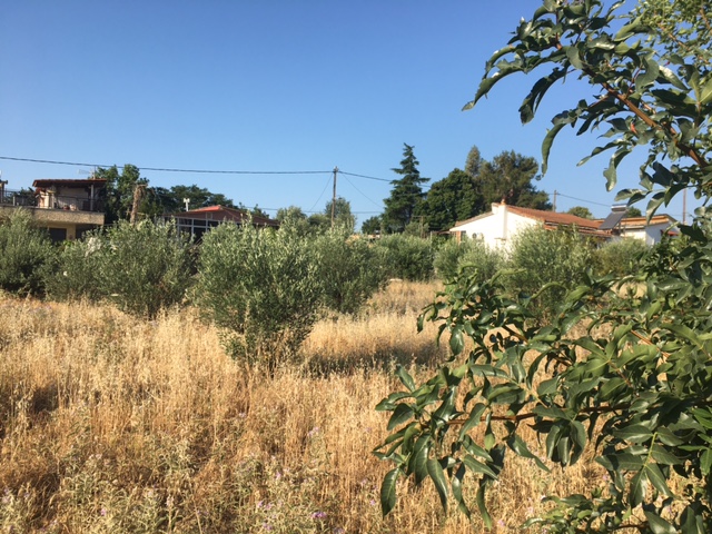 photo16