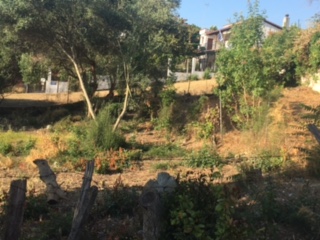photo17