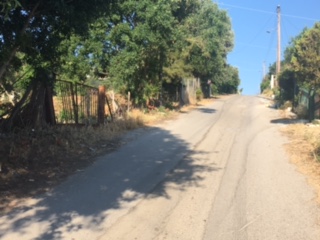 photo19