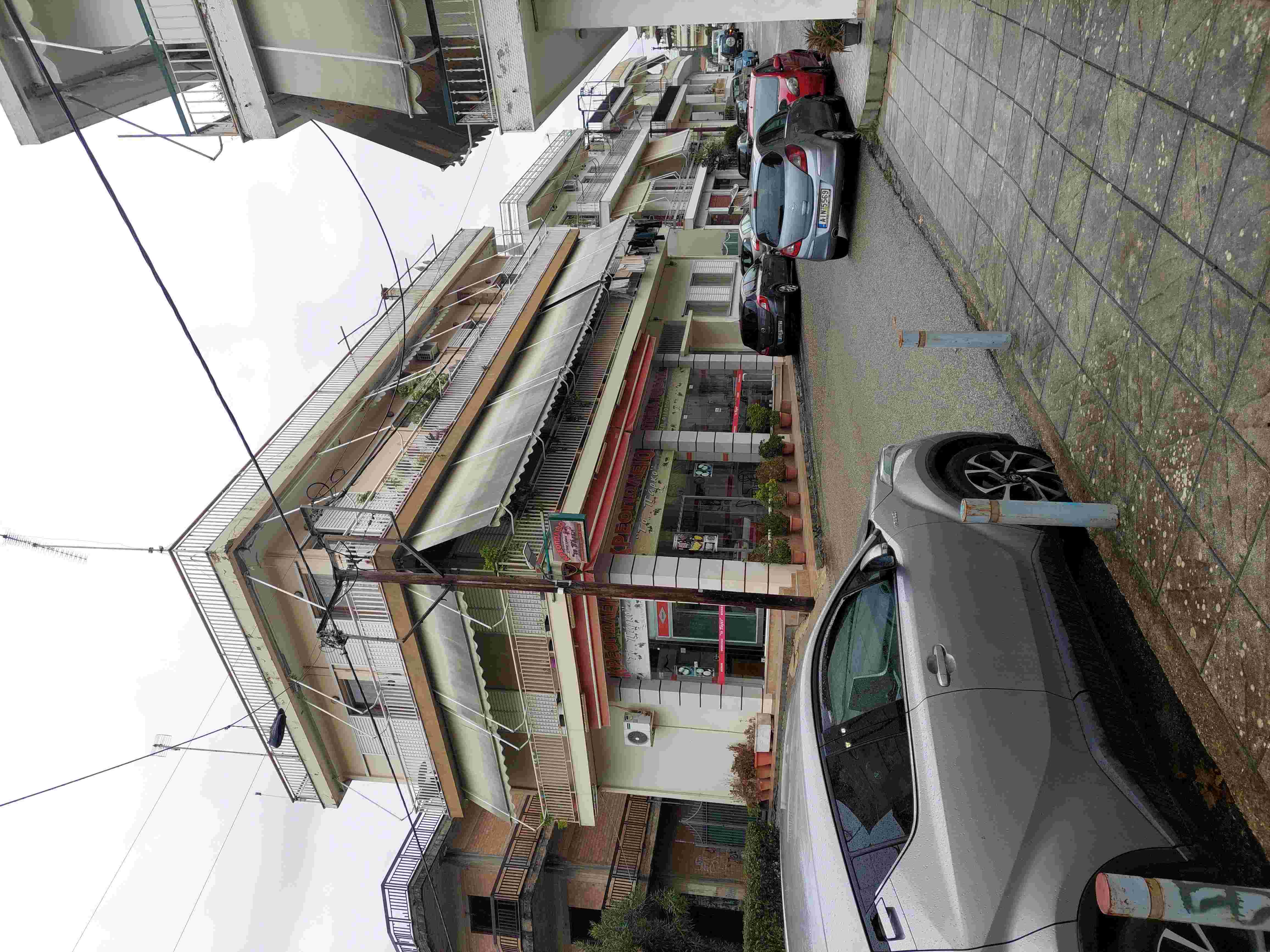 photo1