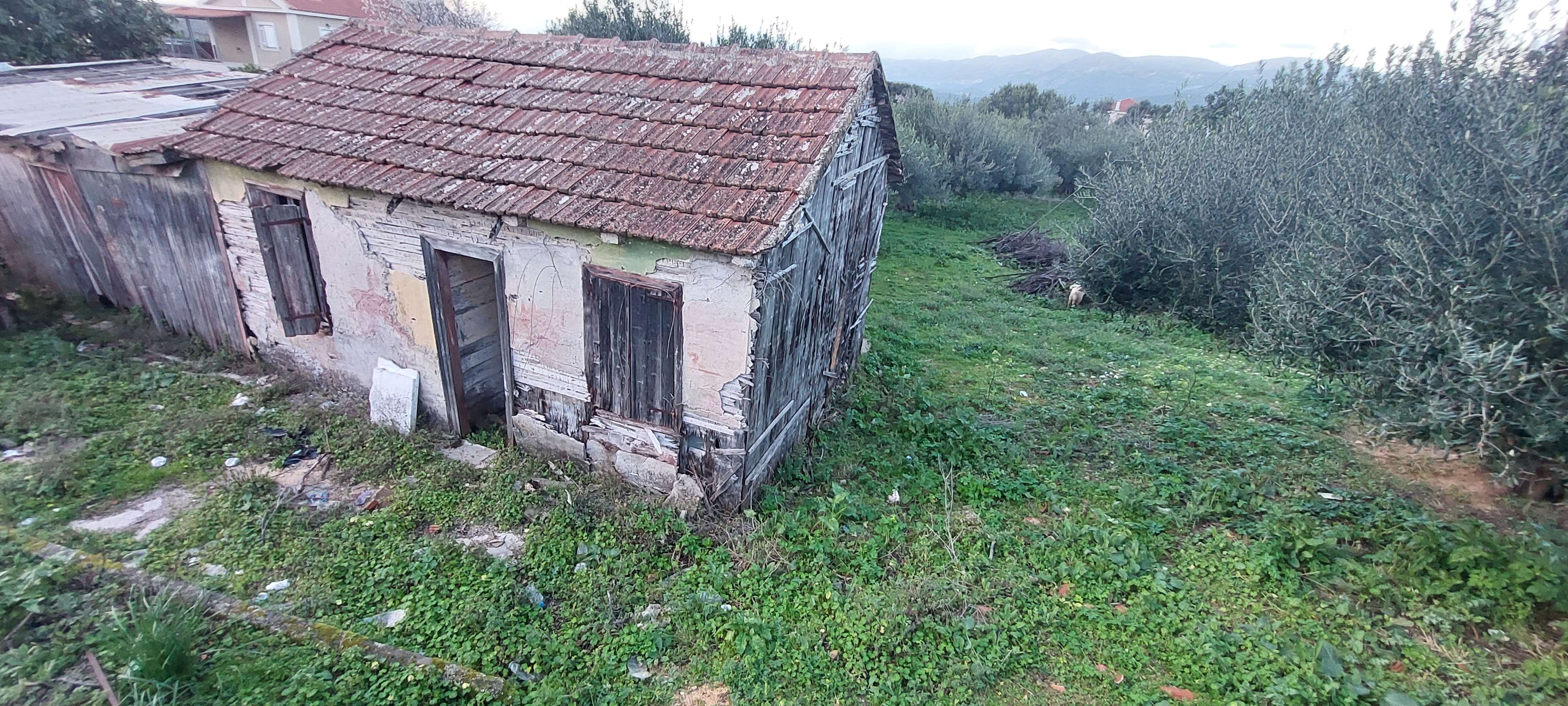 photo1