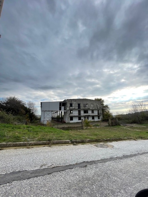 photo2