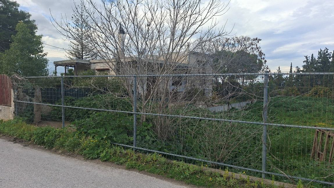 photo0