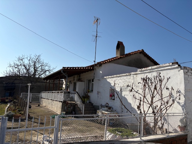 photo1