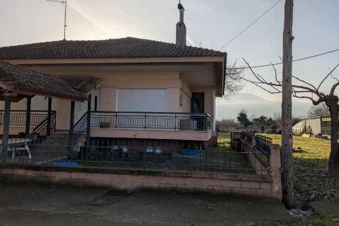 photo1