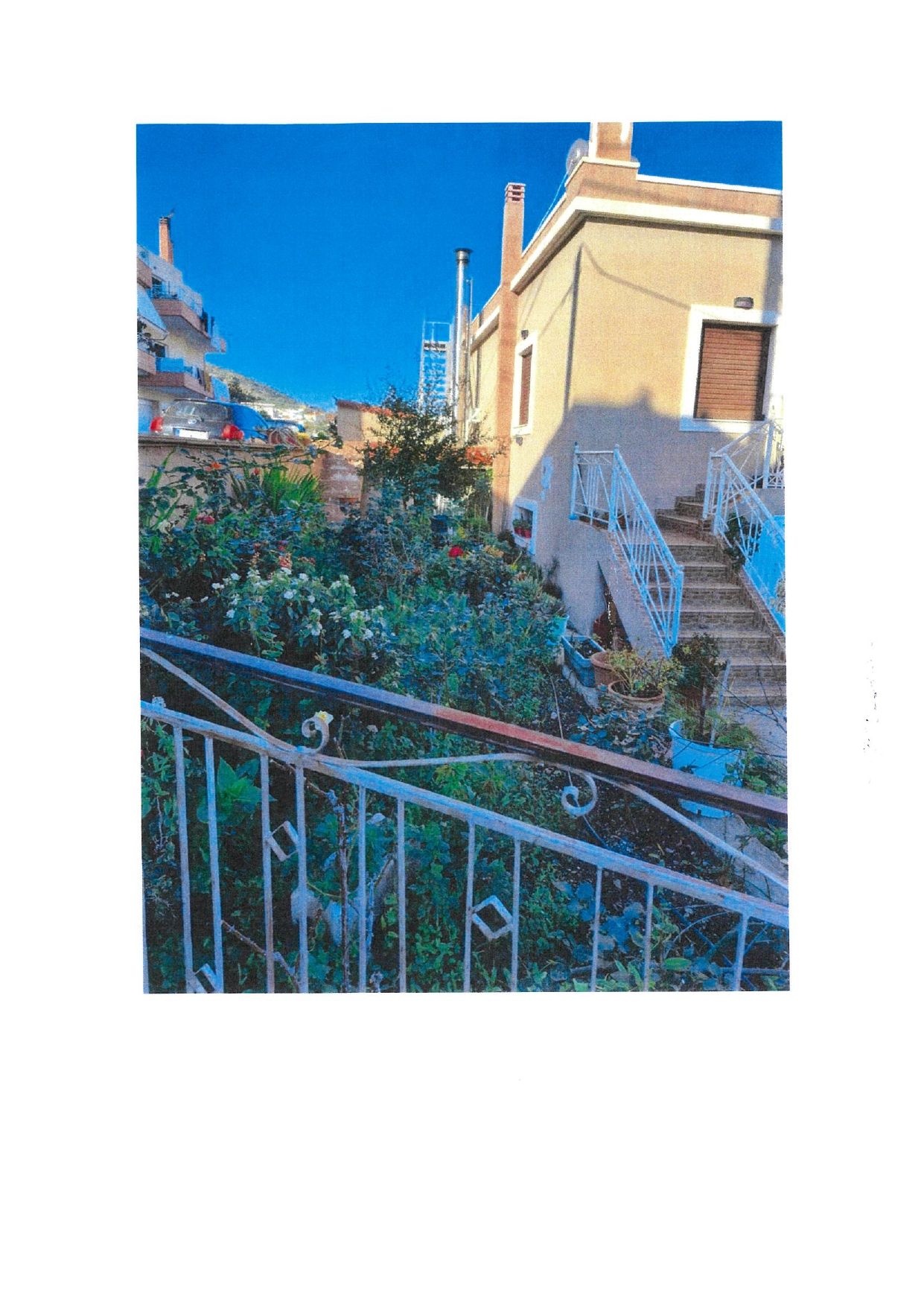 photo1