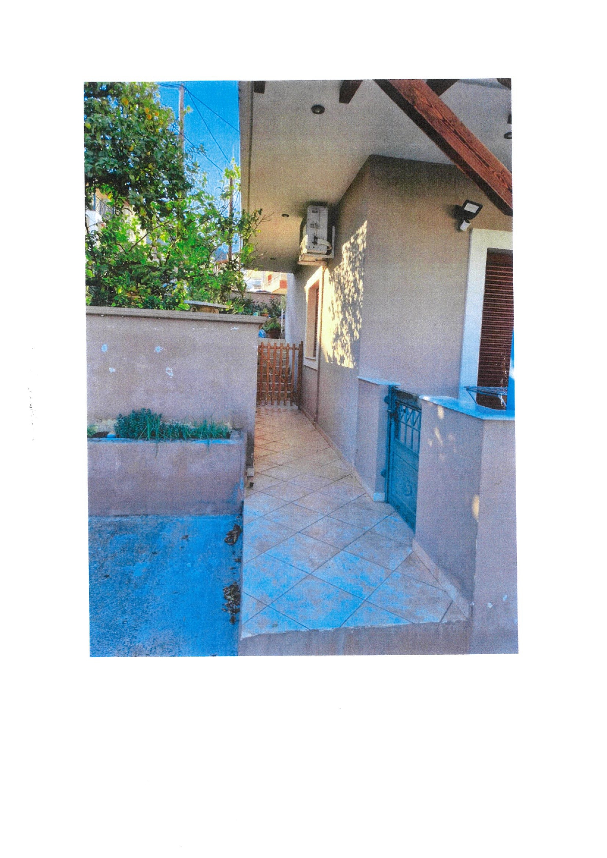 photo4