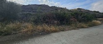 photo2