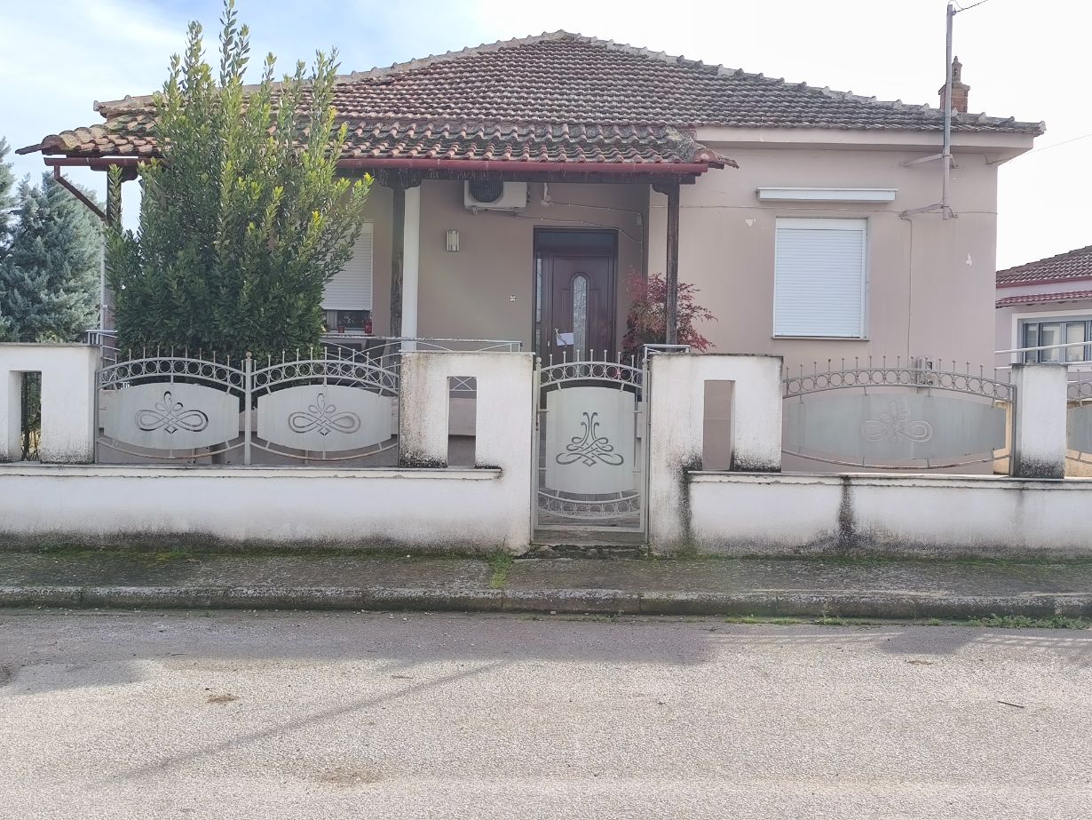 photo1