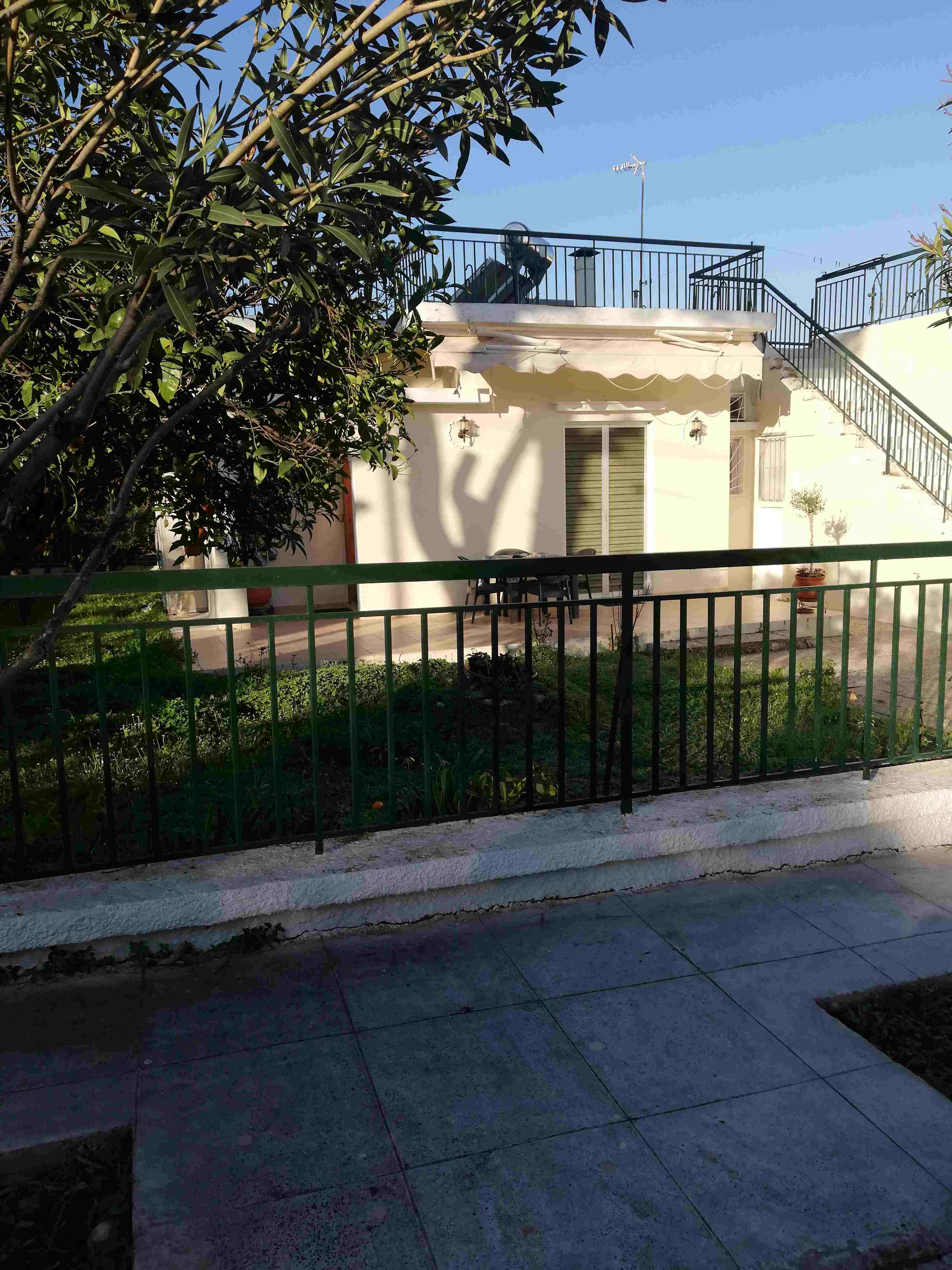 photo1