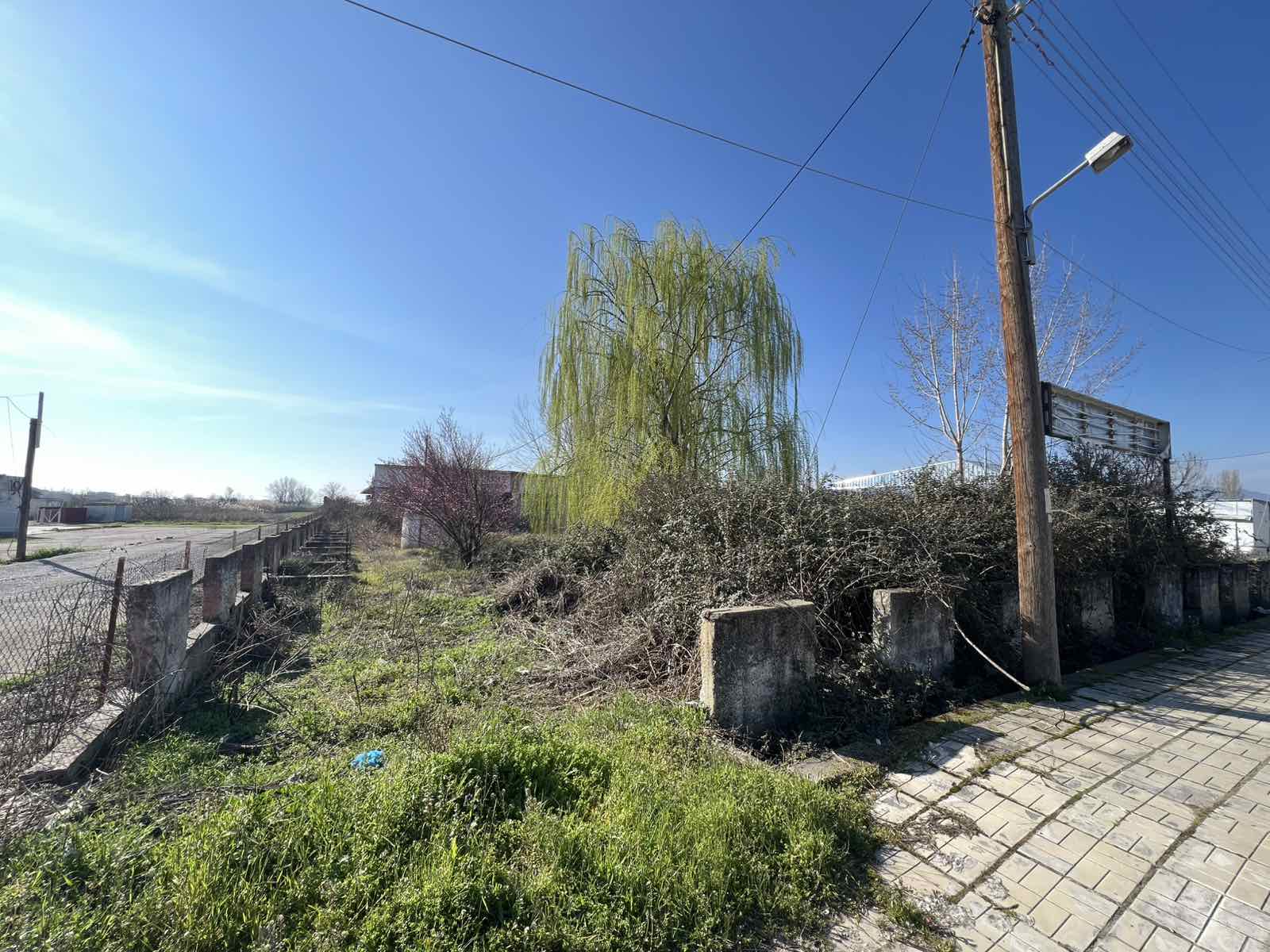 photo2