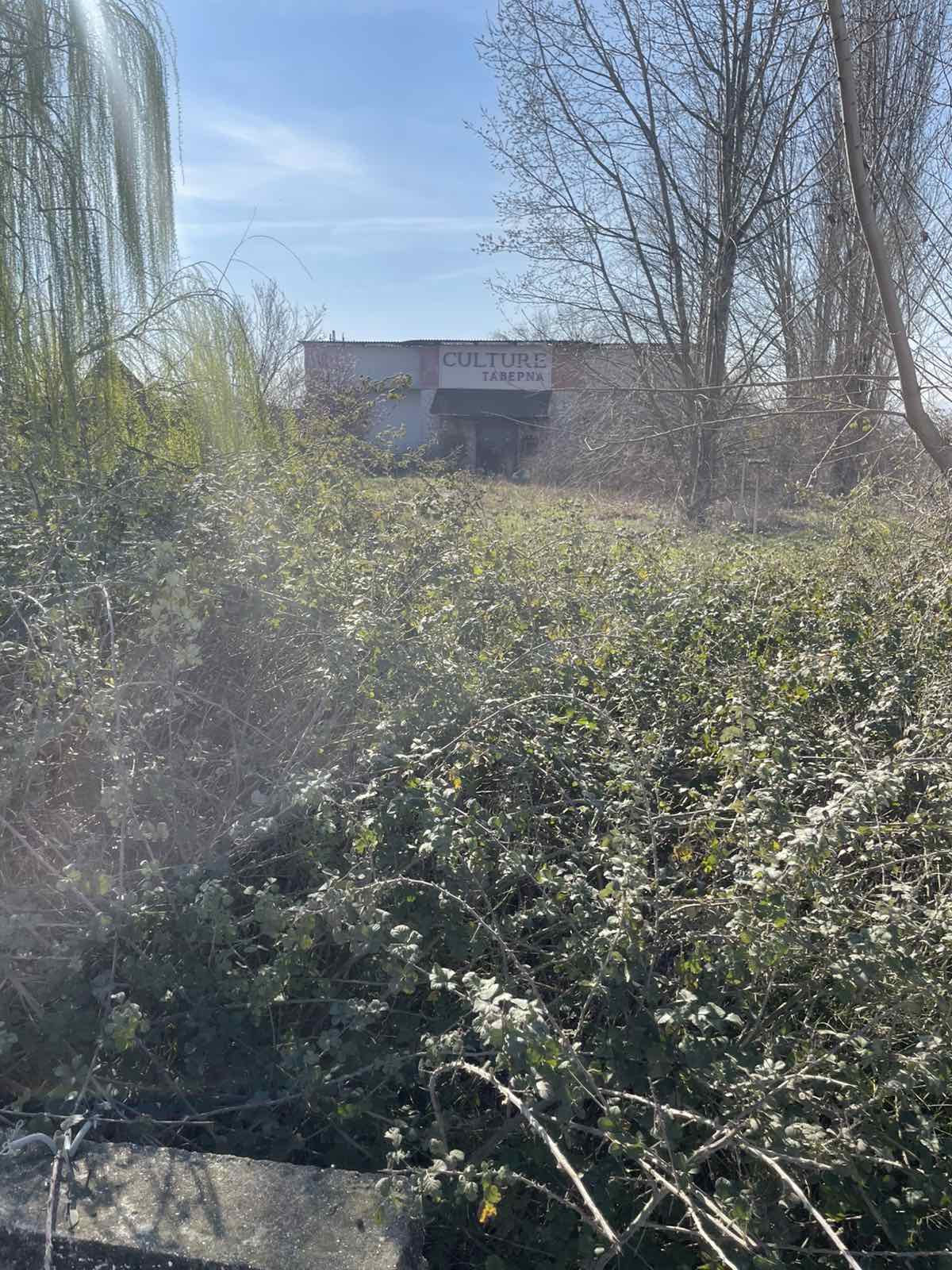 photo3