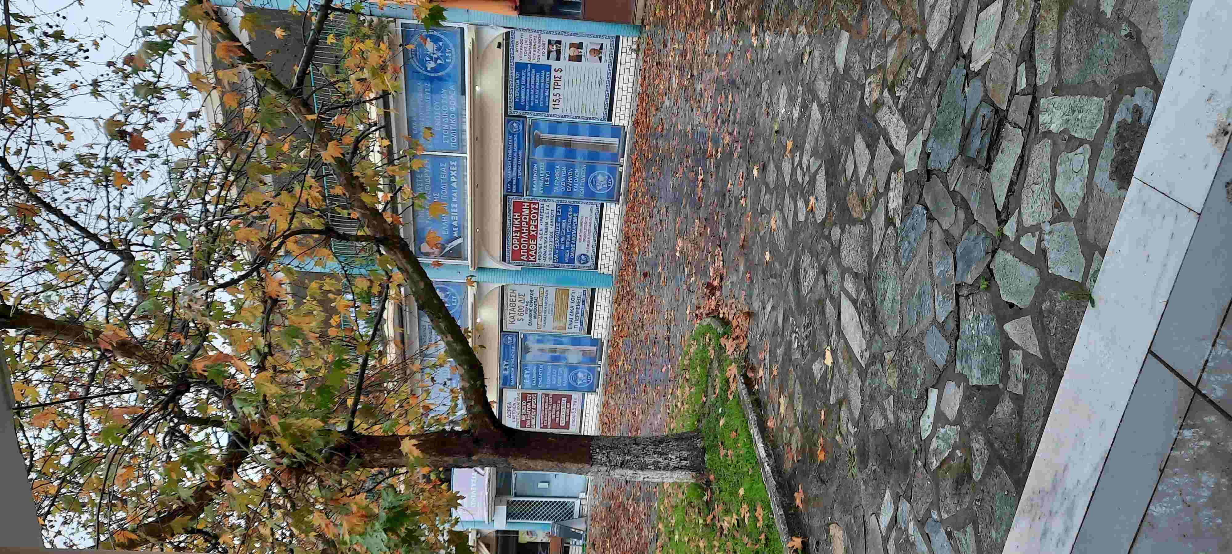 photo1