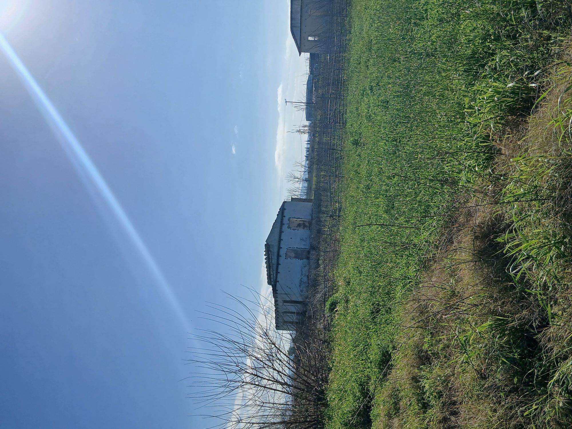 photo0