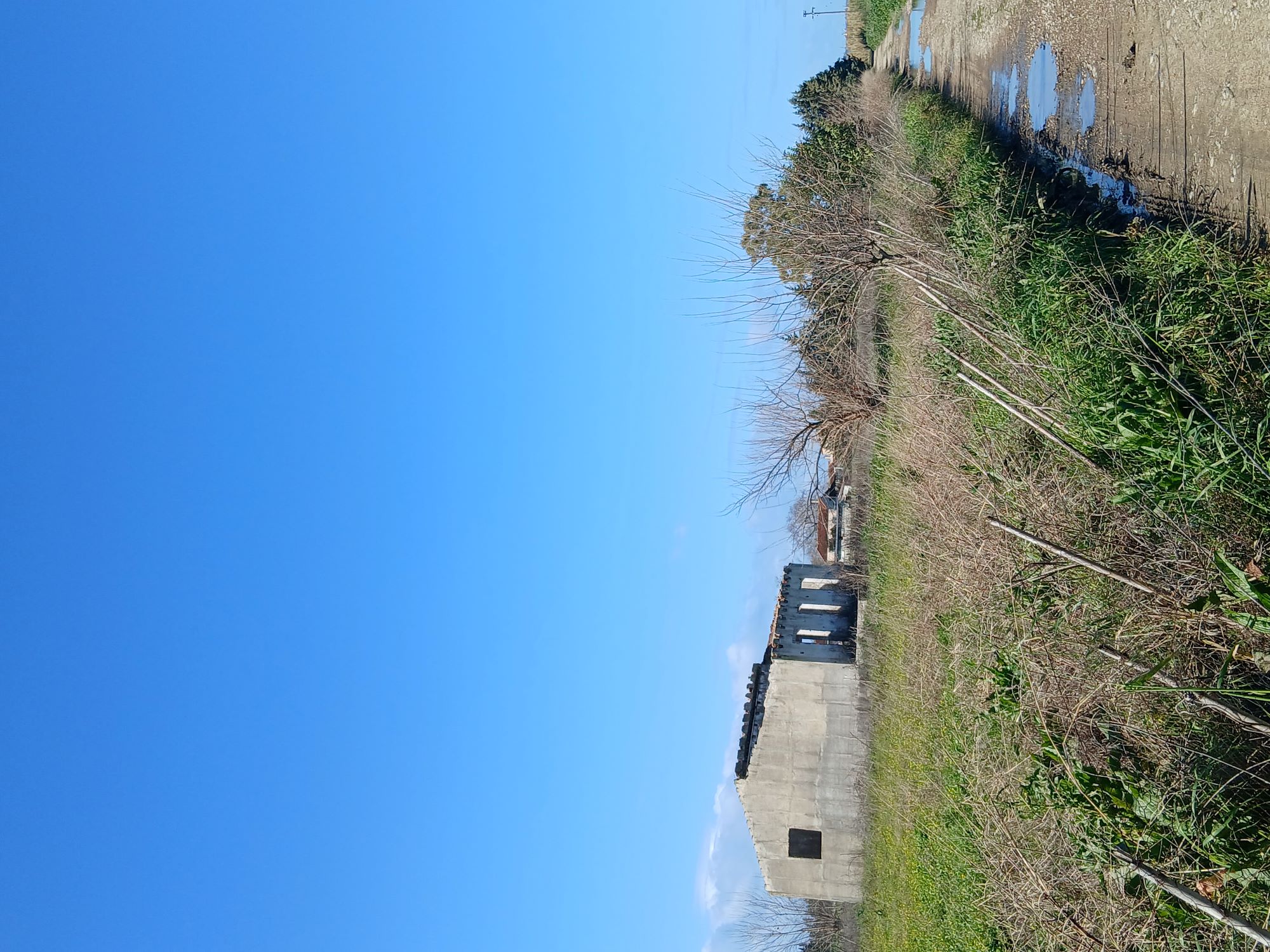 photo1