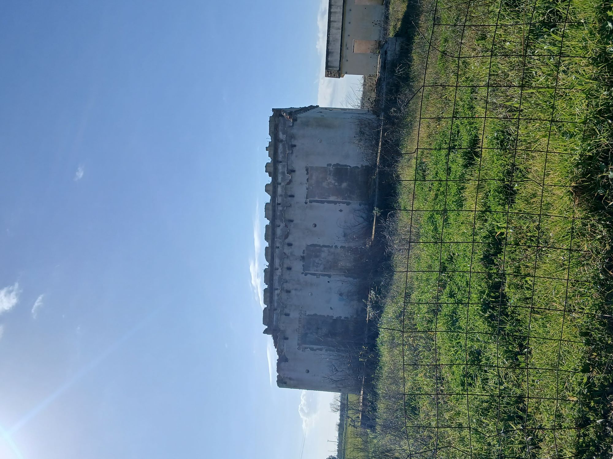 photo2