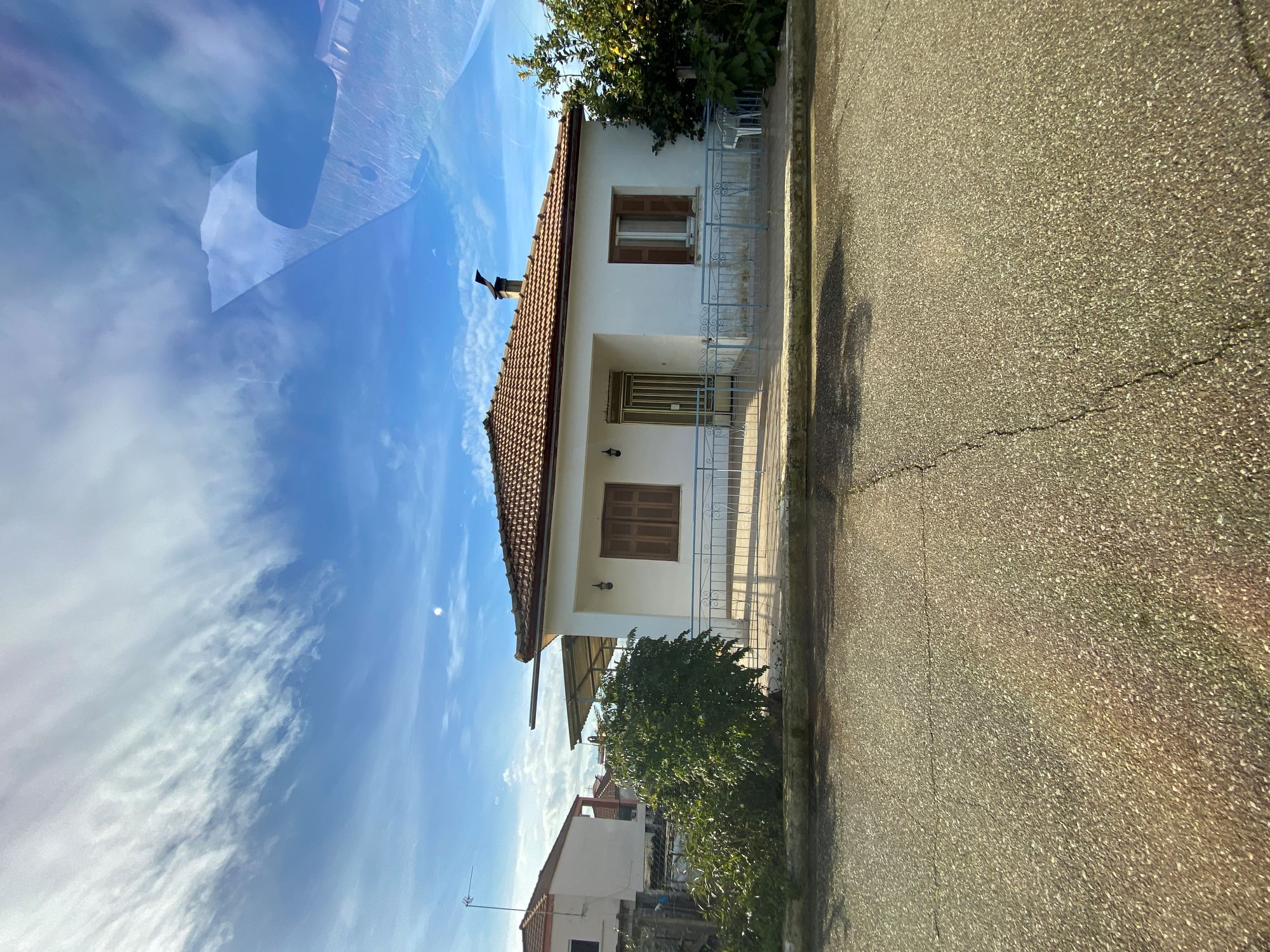 photo2